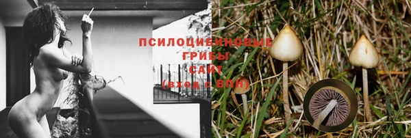 jwh Аркадак