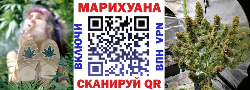 Конопля OG Kush  Берёзовский 